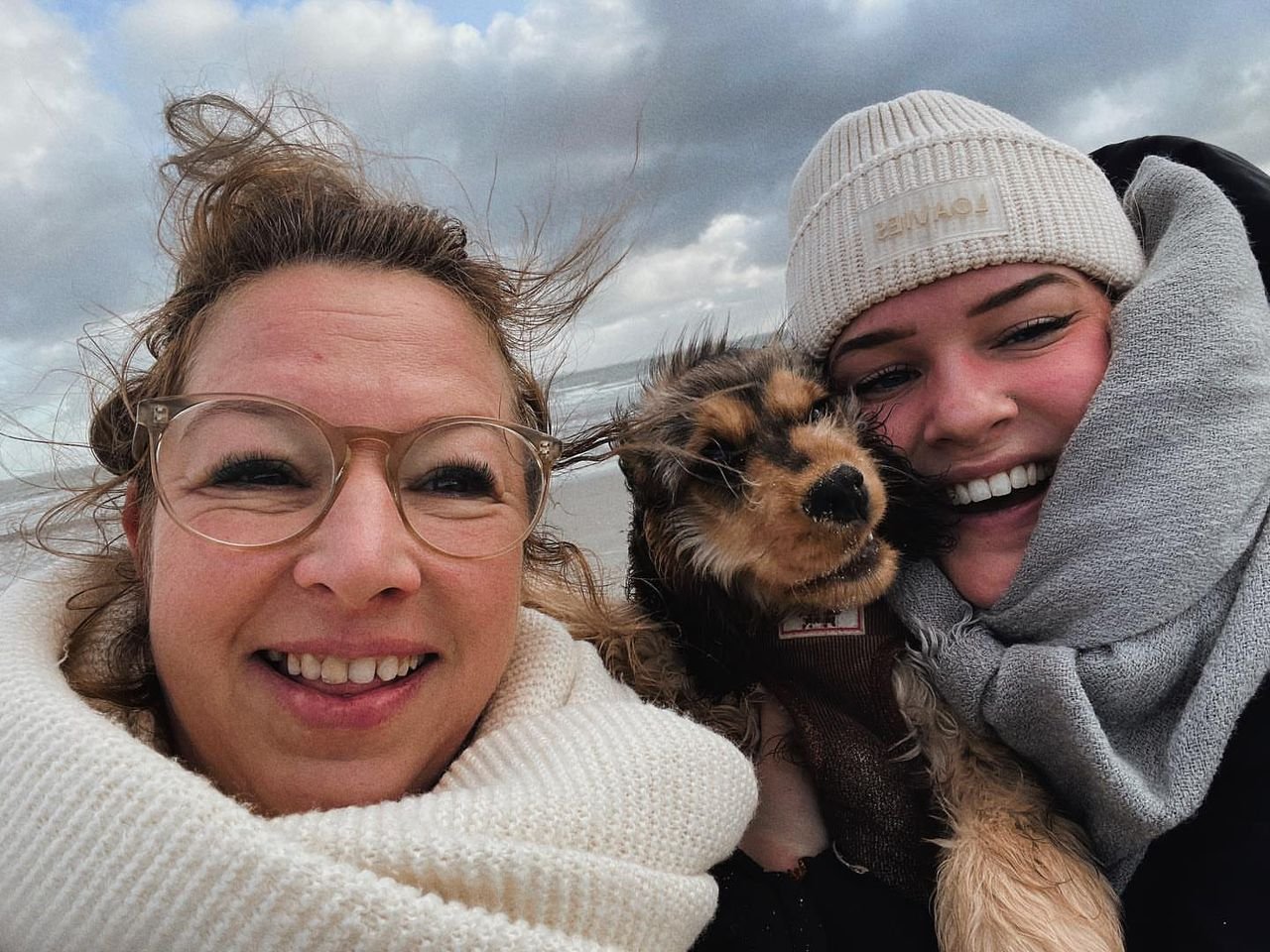 Daisy the Cocker Spaniel curled up on the couch with her owner