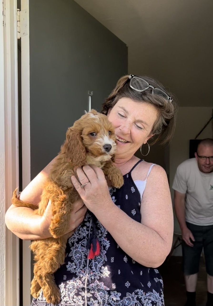 Max the Cocker Spaniel enjoying a walk in the park