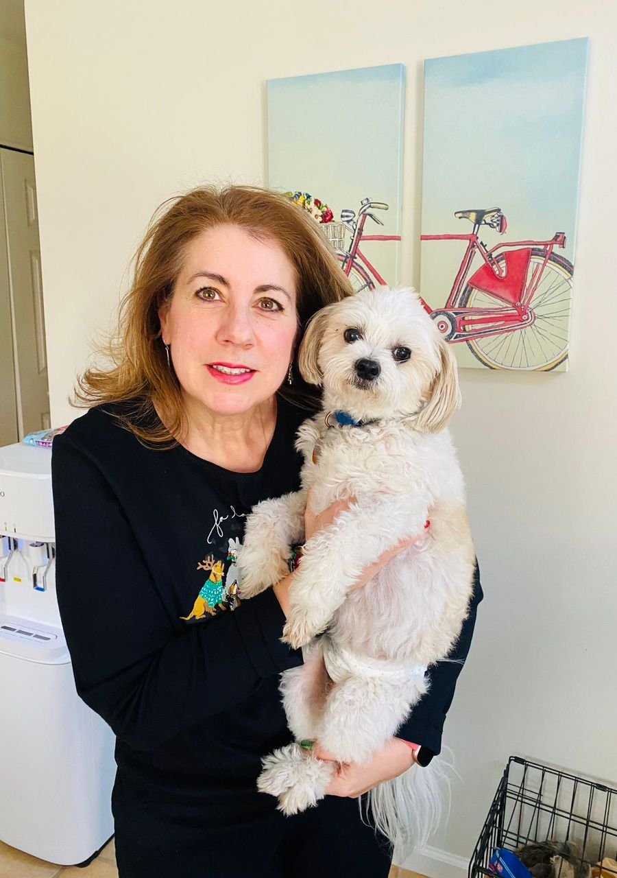 Charlie the Cocker Spaniel napping on a cozy rug