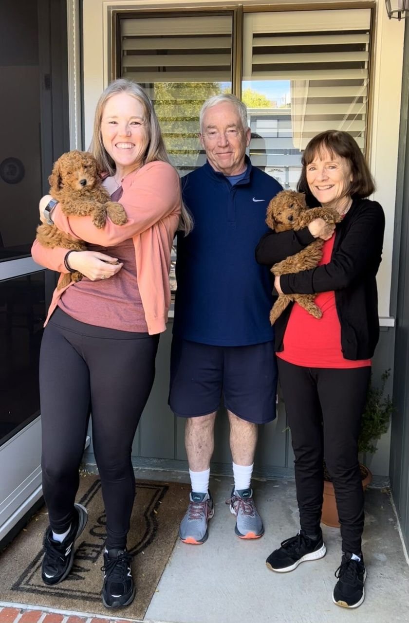 Luna the Cocker Spaniel playing in the backyard with her family